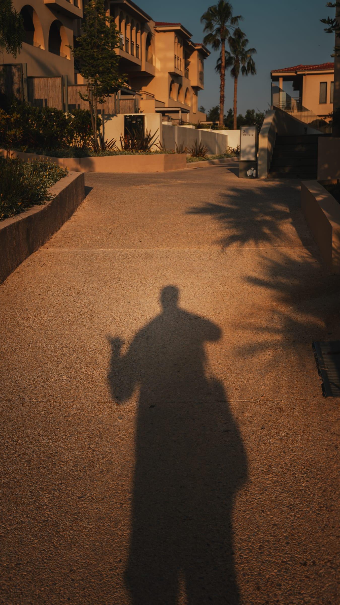 My own shadow thrown down the path, camera up, palms and the block behind