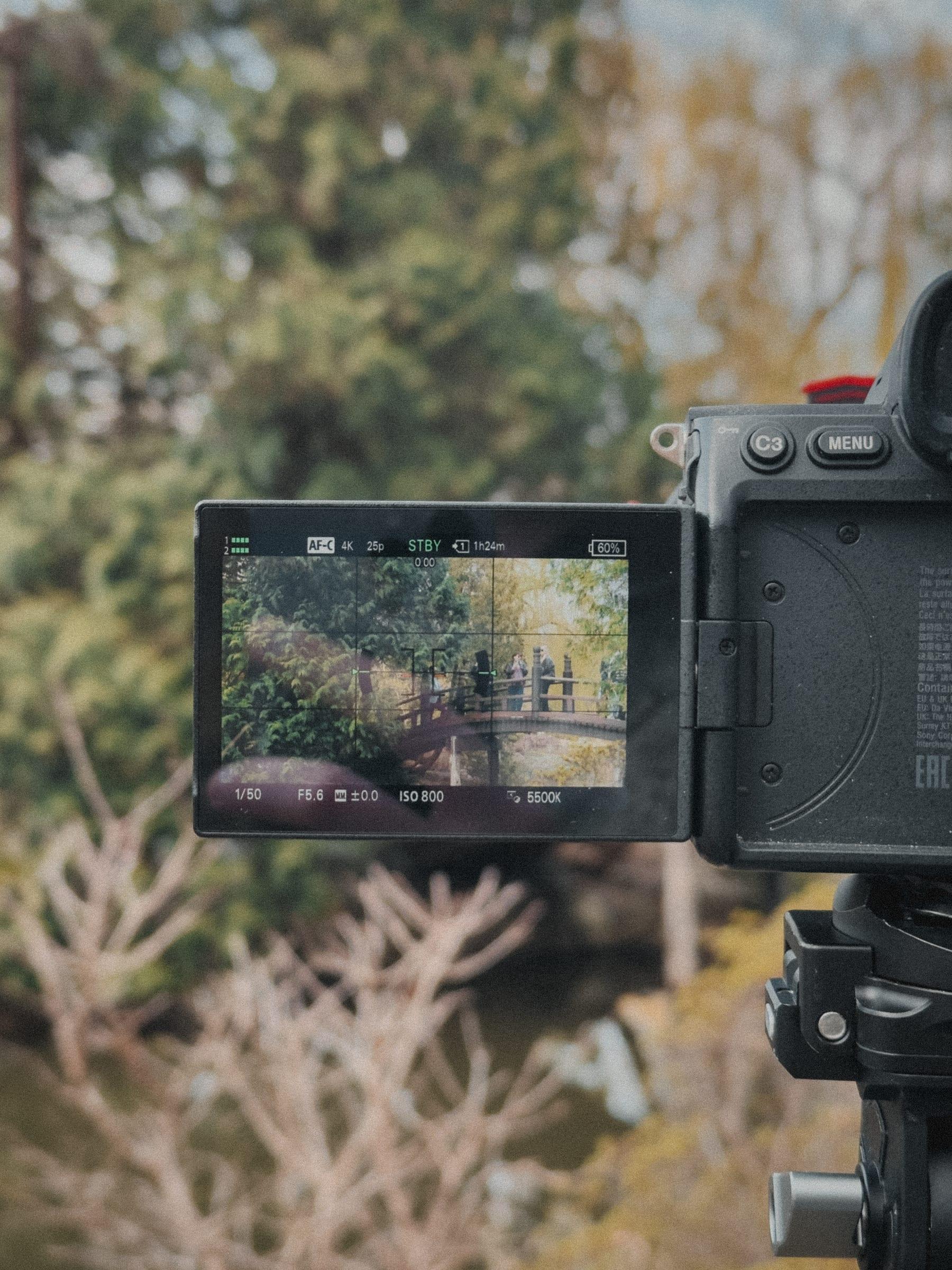 A camera monitor framing the bridge in the Japanese garden, standing by at 4K