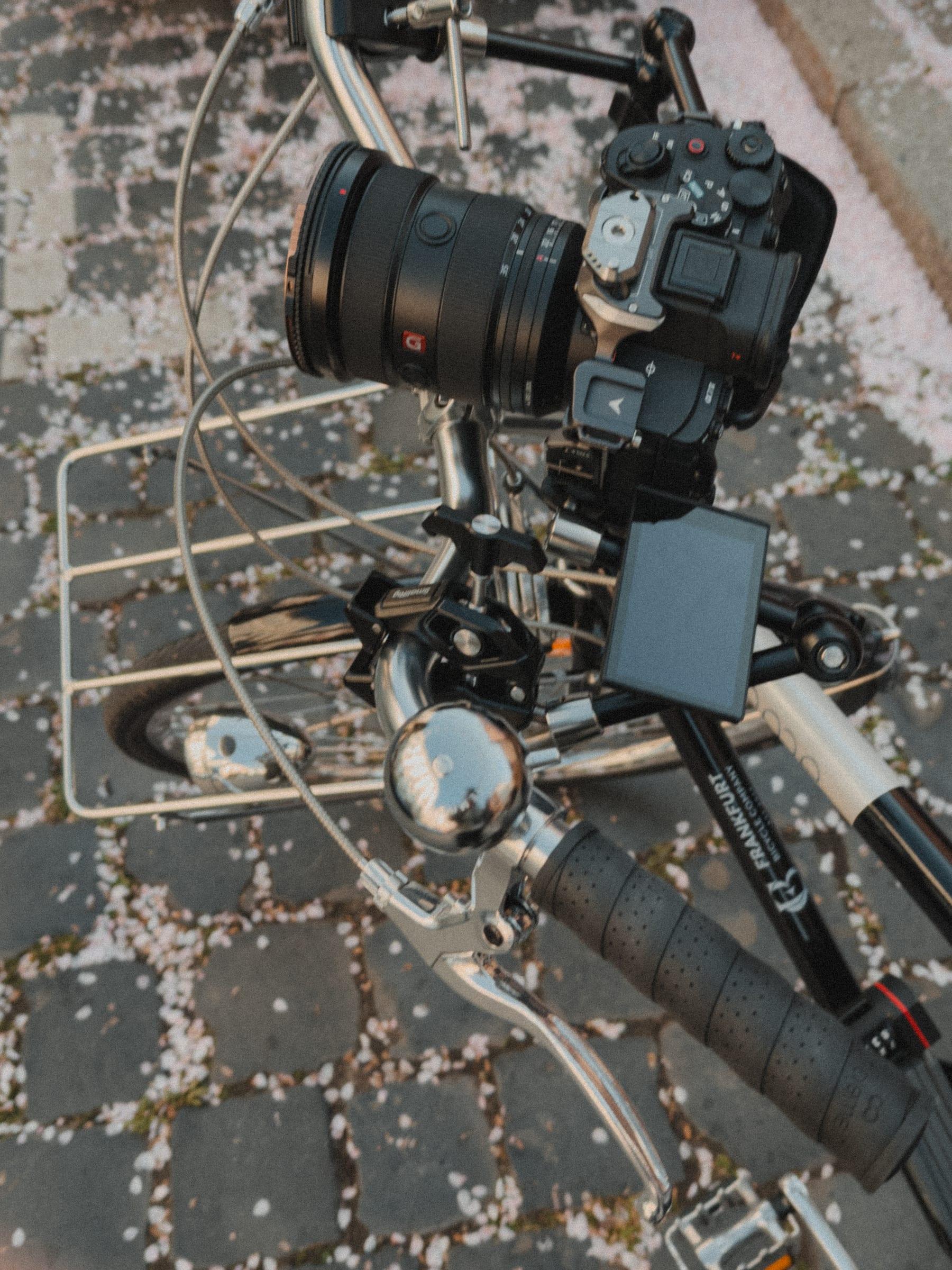 The rig built up on the bike rack from above, blossom petals across the paving