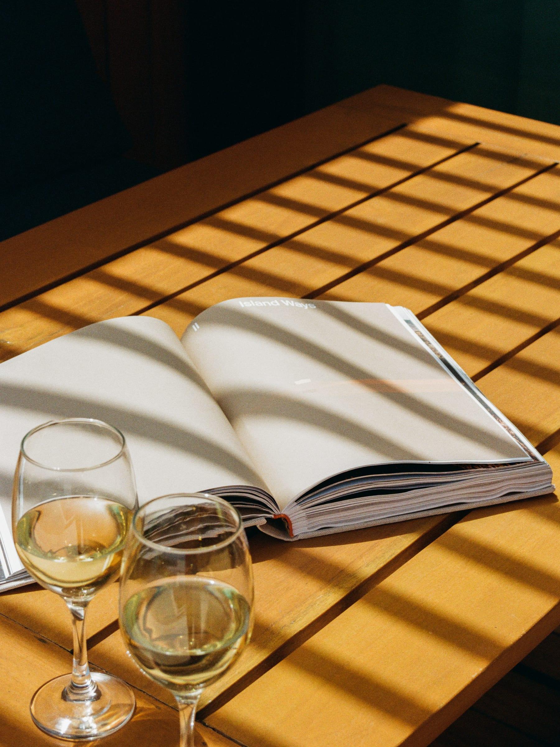Two glasses of white and an open book on the slats, the sun printing through them
